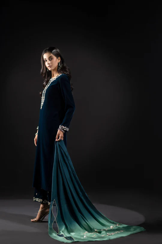 ZAB Embroidered Velvet Dress with Embroidered Karandi Shawl - zab990