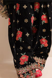 Embroidered Velvet Dress With Organza embroidered Dopata - zab978
