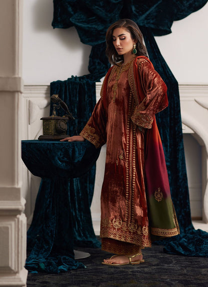 ZAB Embroidered Velvet Dress with Embroidered Karandi Shawl - zab941