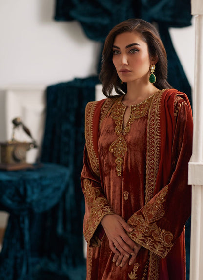 ZAB Embroidered Velvet Dress with Embroidered Karandi Shawl - zab941
