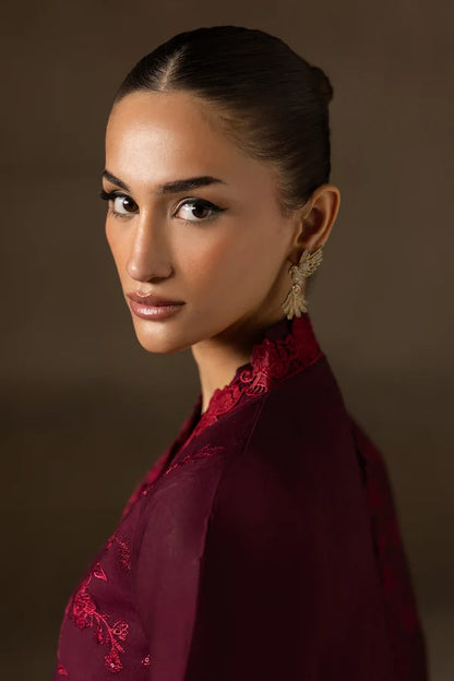 RAj_Bari - Airjet Dhanak With EMBROIDERY Dhanak Shawl -zab1531