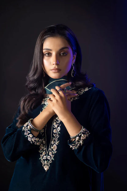 ZAB Embroidered Velvet Dress with Embroidered Karandi Shawl - zab990