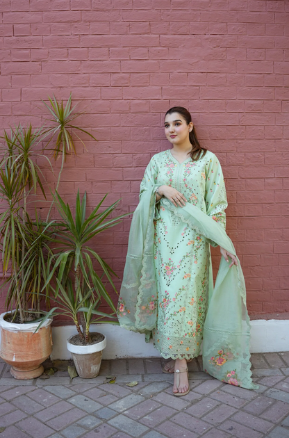 Aneela - Summer 3PC Lawn Embroidered Suit - VL1419