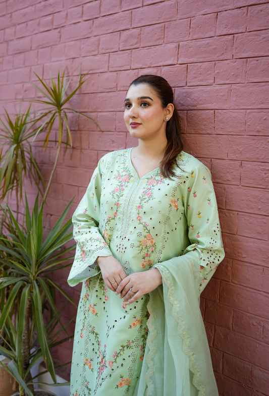 Aneela - Summer 3PC Lawn Embroidered Suit - VL1419